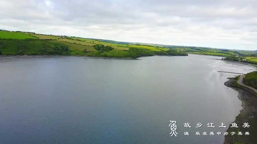 防小鱼闹窝的绝妙之招：硬质颗粒饵与雾化控制的精妙平衡之术?
